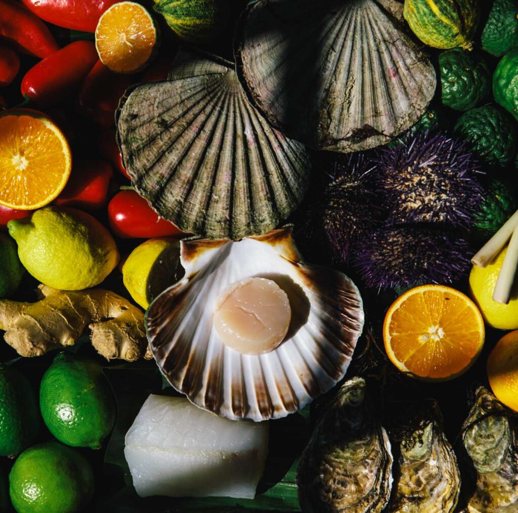 a selection of ingredients including clams, sea uchins, yucatan lime, citrus, chiles